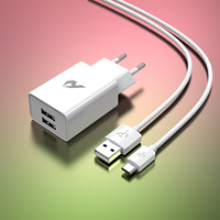 Adaptador de Red USB a Tipo-C con 2 Puertos USB, Plástico, Fuente de Alimentación de 5V/2.4A y Cables de Datos USB para Teléfono Móvil