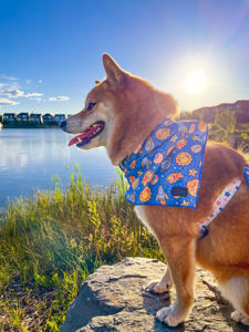 Harnais pour chien réglable à motif d'espace mignon Harnais <span class=keywords><strong>Galaxy</strong></span> bleu avec planètes, étoiles, fusées Harnais pour animaux de compagnie sans traction - Product Image 4