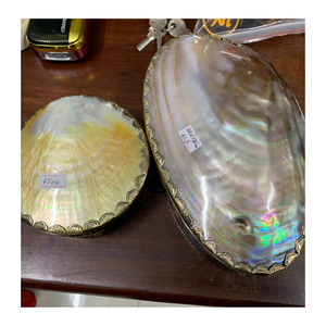 Tranches de coquillage en nacre du Vietnam de qualité supérieure pour la décoration de meubles bijoux incrustation panneaux artisanaux et art mural - Product Image 6