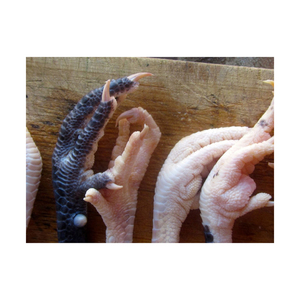 Vente en gros de pattes de poulet surgelées Pattes de poulet de qualité supérieure Pieds de pattes de poulet surgelés d'origine brésilienne prêts à l'approvisionnement - Product Image 2