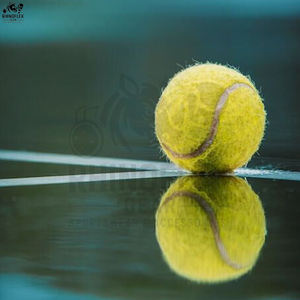 Nouveauté, logo personnalisé OEM, balles de tennis de haute qualité, écologiques, professionnelles, avec couleur et taille personnalisées, fabriquées au Pakistan - Product Image 4