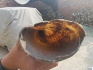 Cuerno Vikingo para Beber, Tallado a Mano, Ecológico, con Acabado Pulido, para Cerveza, Hidromiel, Bodas, Hogar, Hotel, Precio Bajo - Product Image 3