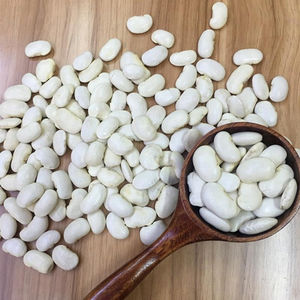Export Quality White Kidney <b>Beans</b> Bulk Supplier Worldwide - Product Image 1