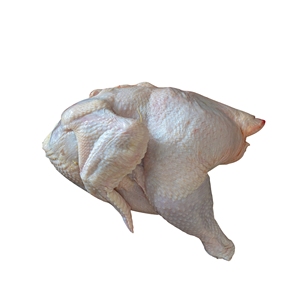 ข้อเสนอพิเศษสำหรับเนื้อไก่ทั้งชิ้น - Product Image 1