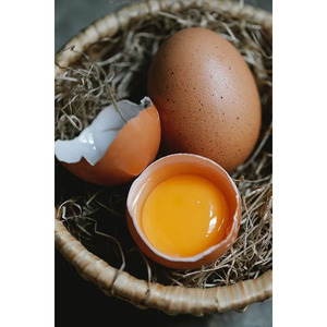 แหล่งโปรตีนไข่ไก่แบบออร์แกนิกเพื่อสุขภาพสำหรับใช้ในฟาร์มไข่แบบสด - Product Image 3