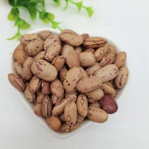 ถั่วแดงเข้มน้ำตาลถั่วฝักยาวสีน้ำตาล - Product Image 3