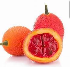 เมล็ด GAC ธรรมชาติที่อุดมไปด้วยไฟโตนิวเทรียนท์สำหรับภูมิคุ้มกันจากพืชช่วยเพิ่มความสมดุลของผิวหนังและร่างกาย - Product Image 6