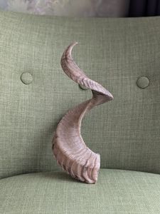 Venta directa de cuerno de oveja natural de alta calidad, mayorista hecho a mano, cuerno de oveja real, lámpara de sal para decoración del hogar, animales crudos - Product Image 6