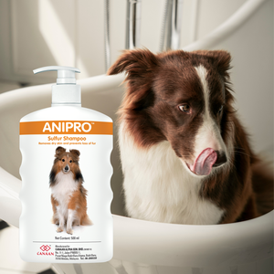 Champú para Perros Anipro de Azufre, de Primera Calidad, para el Tratamiento de Problemas de la Piel, para un Pelaje Saludable, Apto para Todo Tipo de Perros - Product Image 1