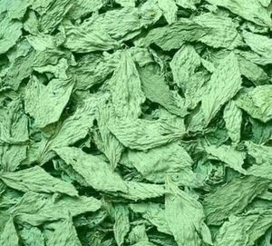 Molokhia Egipcia Seca Natural de Grado 1, Hojas Enteras, Producto Premium Libre de Pesticidas, con 3 Años de Vida Útil - Product Image 1