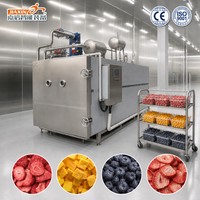 Vriesdroogmachine voor fruit, 304 roestvrij staal, food grade, geschikt voor fruit, aardbeien, mango's & bosbessen