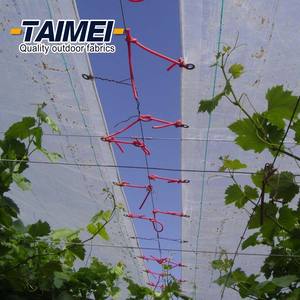 Copertura Antipioggia in Plastica per Vigneti e Frutteti, Telone Protettivo per la Raccolta delle Uva - Product Image 3