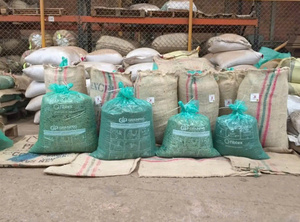 HANCOFFEE Café vert Robusta du Vietnam de haute qualité, récolte 2026, qualité 1, taille 16-18, meilleur prix de gros pour le commerce - Product Image 5
