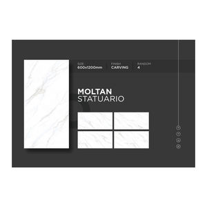 กระเบื้องพอร์ซเลนเคลือบขนาด600x1200มม. กระเบื้องปูพื้นผนังแกะสลักชุดแกะสลักแบบย้อนยุคสินค้าส่งออก - Product Image 5