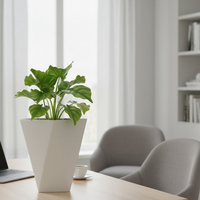 Solution de jardinière en acier multifonctionnelle de haute qualité et polyvalente pour les petits jardins, les terrasses, les balcons, les présentoirs de plantes à bas prix