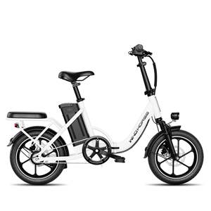 จักรยานไฟฟ้าวินด์ฮอร์ส ดับเบิ้ลยูทูบี - Product Image 1