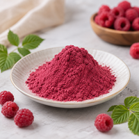 Poudre de jus de framboise rouge de qualité alimentaire, ingrédient de fruits lyophilisés, faible MOQ, marque privée, fournisseur en gros