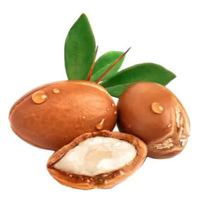 Aceite de Argán Orgánico Prensado en Frío para el Crecimiento y Reparación del Cabello, Tratamiento Capilar Ligero Marroquí con Ingredientes de Primera Calidad - Product Image 3