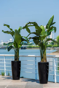 Maceta de Plástico con Autorriego para Interiores, para <span class=keywords><strong>Plantas</strong></span> Decorativas y de Jardín - Product Image 4