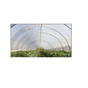Película plástica estabilizada UV transparente de invernadero de suministro directo de fábrica para uso agrícola en climas duros para exportaciones - Product Image 1