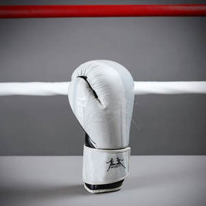 Gants de boxe en cuir véritable pour l'entraînement professionnel et les sessions de sparring Gants de boxe en cuir véritable avec rembourrage épais - Product Image 2