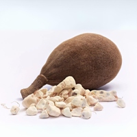 Exportkwaliteit Baobabvrucht Natuurlijk Superfood Premium Ingrediënt voor de drankenindustrie, gezondheidsproducten en wereldwijde handel