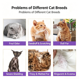 Gel Doccia per Gatti con Acido Minoico ODM OEM, Shampoo per Animali Domestici, Liquido Speciale per il Bagno <span class=keywords><strong>di</strong></span> Tutti i Gatti - Product Image 6