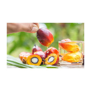 Huile de palme de haute qualité Vente en gros Fabricant de haute qualité Nouveau meilleur matériel Avec des tarifs bon marché - Product Image 6