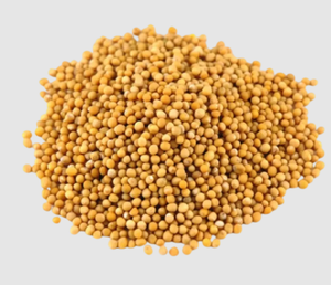Graines de moutarde jaunes entières – 100 % naturelles, pures et biologiques - Product Image 2