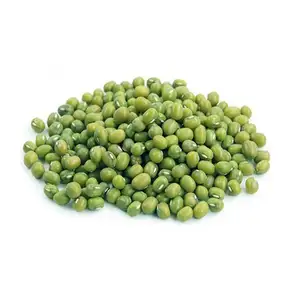 Indischer Großhandel Kauf grüner Moong Dal Qualitätsgrad natürliche getrocknete grüne Gramm Mungbohne vom indischen Lieferanten