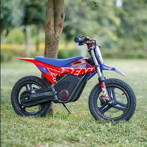 DESCUENTO Motocicleta Eléctrica Infantil RF-N Warriorr SX-E250, Perfecta para Diversión en el Patio Trasero - Product Image 6