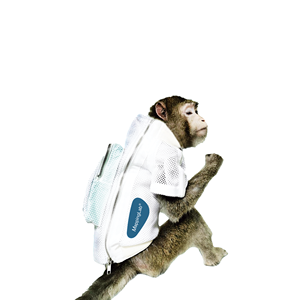 Chaleco de Telemetría para Animales Grandes para Farmacología de Seguridad Preclínica y Monitoreo de Movimiento Libre - Product Image 6