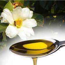 Aceite de Semilla de Camelia Puro, el Más Vendido, para Cosméticos, Aceite Natural para Masajes, Cuidado del Cabello y Fórmulas para la Piel - Product Image 2