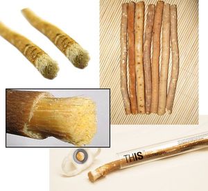 BioSpirit Herbal Wooden Tooth Stick Organic Whitening Gum Strength Eco Friendly Dental Hygiene Fresh Oral Cleaning <b>Miswak</b> - Product Image 5