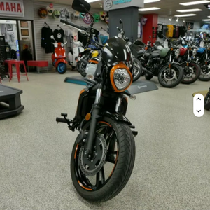 Motocicleta Kawasaki EN650LNFNL Nueva de Alta Gama - Product Image 1