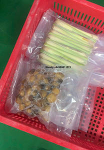 Champignons de paille surgelés IQF de qualité supérieure, purs et naturels - Product Image 3