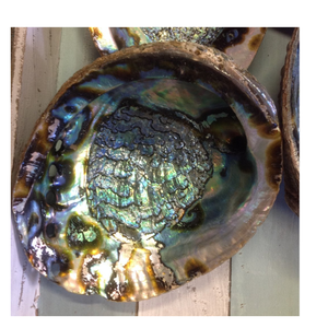 Coquilles d'ormeau naturelles du Vietnam Coquilles océaniques durables pour incrustation artistique, conception de bijoux, bricolage et exportation dans le monde entier - Product Image 2