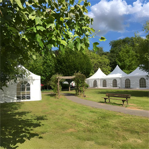 Chalet de jardin 5x5m 6x6m 20x20 ft Tente pagode pour mariage, événement, exposition pour <span class=keywords><strong>location</strong></span>, événement, fête de mariage - Product Image 5