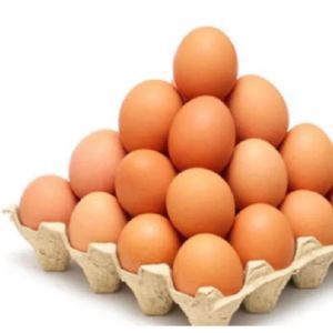 Huevos de mesa de pollo frescos marrones y blancos Huevos para incubar en conserva para uso agrícola o yema de alimentos incluida - Product Image 5