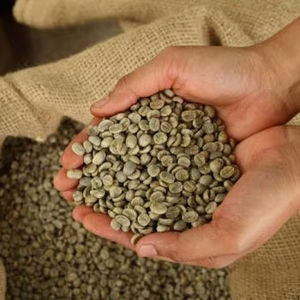 เมล็ดกาแฟอาราบิก้าออร์แกนิคพรีเมียม GCB26 เกรด Non-GMO ขายส่งทั่วโลก 100% ธรรมชาติ เวียดนาม ลัมตง - Product Image 3