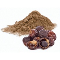 Vente en gros de poudre d'extrait de noix de savon soapberry en poudre naturelle pour la lessive prix d'exportation le moins cher
