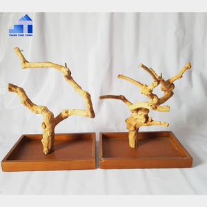 Soporte de juego de pájaros de madera de café Natural superventas para loros mascotas de Vietnam para mayoristas - Product Image 5