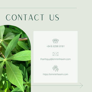 Puré de hojas de yuca 100% Premium, de Vietnam - Product Image 6