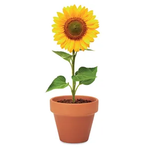 Maceta Ecológica Inteligente y Recipiente para Semillas de Girasol Inspirado en la Belleza de la Naturaleza - Product Image 1