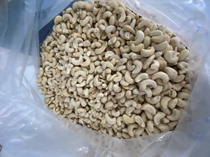 Anacardos de Vietnam de calidad superior al mejor precio, variedad cruda de exportación Kosher, especias secas certificadas por la OMI, cáscara con patrón de hinojo - Product Image 2