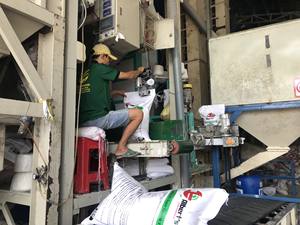 VENTA A GRANEL HOMALI KDM ARROZ 5% EMBALAJE ROTO COMO PEDIDO COMPRADOR AL POR MAYOR - Product Image 6