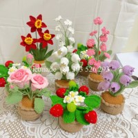 Penjualan laris 2025 pot bunga anggrek buatan tangan cantik hadiah Festival Dekorasi Rumah hadiah bunga rajut hadiah Crochet