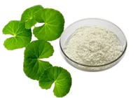 Naturel Centella Asiatica 95% Genin (acide asiatique, acide madecassic) Produit en vrac de haute qualité en gros