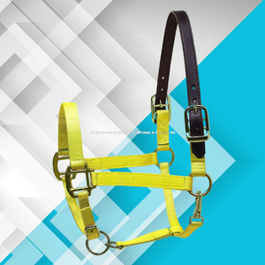 Halter de cheval de style anglais équestre bleu PP couronne accessoire en nylon avec cuir Adj pour l'entraînement des chevaux - Product Image 3