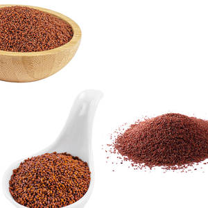 Cress | Texture croustillante et épices douces | Aimé dans les salades crues - Product Image 4